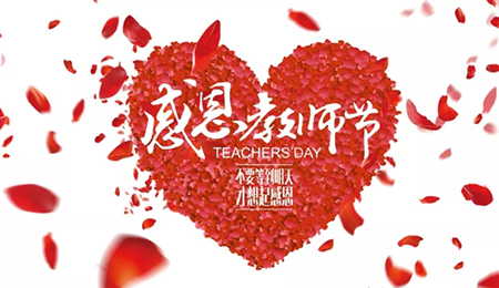 感谢师恩I免费观看91看片教学十年坚守