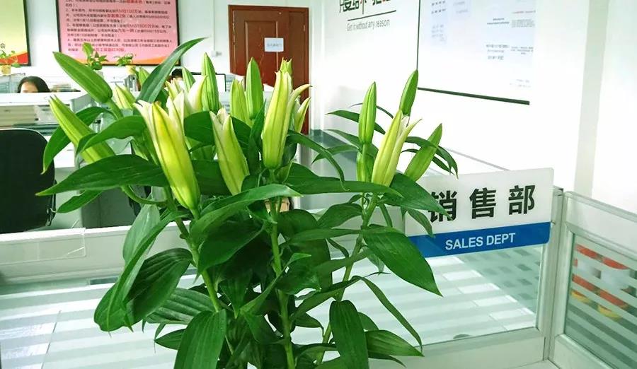 浓情七夕，最美祝福！